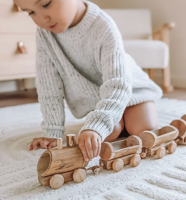 Qtoys bamboo train (last one)