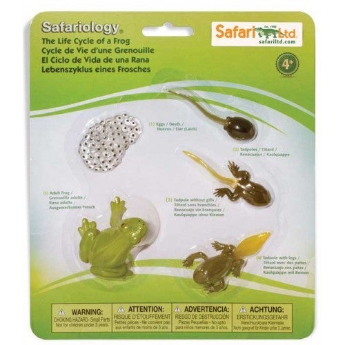 Safari Ltd Life Cycle of a Frog