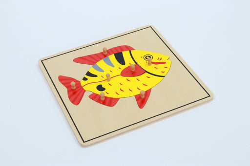 Fish Puzzle