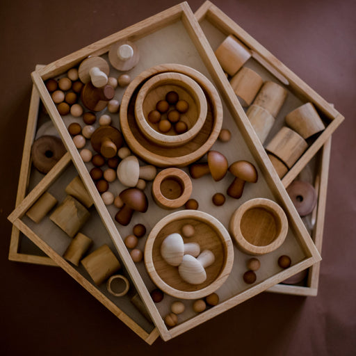 Montessori Nesting Trays