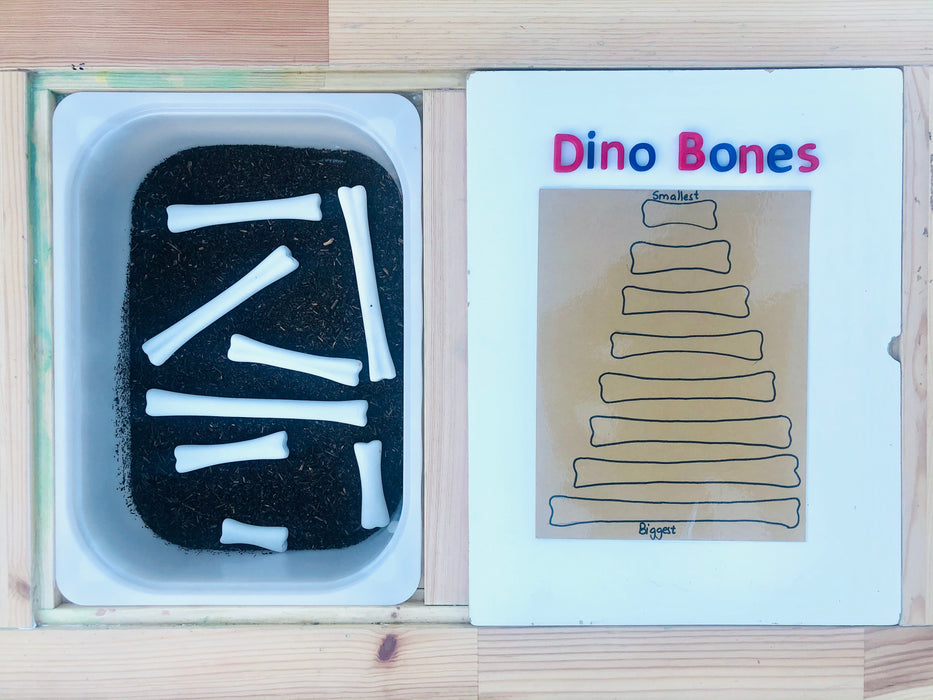 Dinosaur Bones Match and Measure set