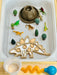 Sensory Tray: Dinosaur