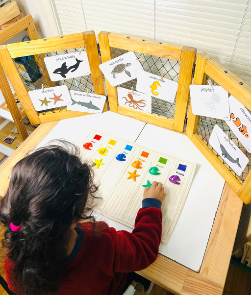 Sorting Mat: Colours& Shapes - Hooked On Learning