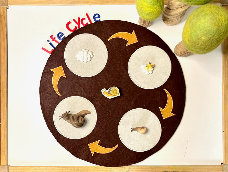 Life Cycle of Snail - Hooked On Learning