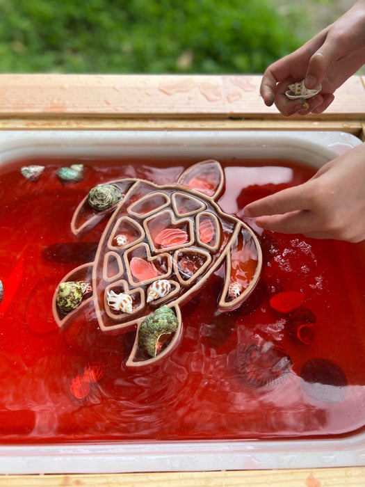 Sensory Tray: Turtle (last one) - Hooked On Learning