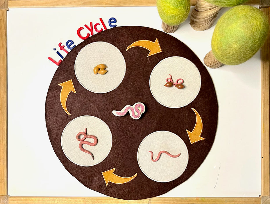Reversible Life Cycle Mat